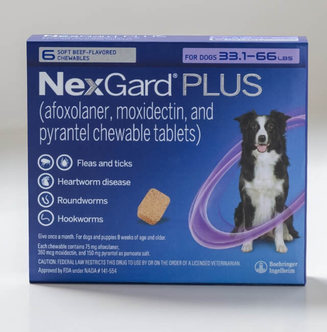 Heartgard plus outlet and nexgard